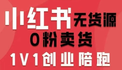 小红书无货源0粉电商课，开店准备、选品策略、笔记撰写、视频剪辑、数据分析、账号打造、资料文档(更新26年3月16日)-大伟资源网