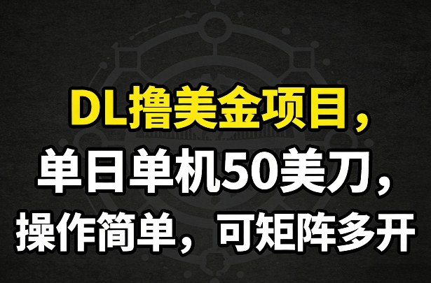 DL撸美金项目，单日单机50美刀，操作简单，可矩阵多开-大伟资源网