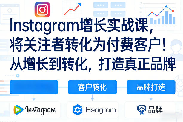 Instagram增长实战课，将关注者转化为付费客户！从增长到转化，打造真正品牌(双语字幕)-大伟资源网