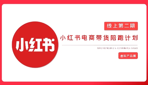 2025小红书虚拟电商实战课，从0到1打造无货源店铺，AI+爆款笔记轻松变现-大伟资源网