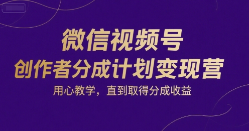 微信视频号创作者分成计划变现营，用心教学，直到取得分成收益-大伟资源网