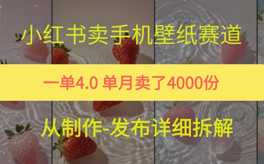小红薯手机壁纸变现，4块钱一张的图，单月卖了5000份-大伟资源网