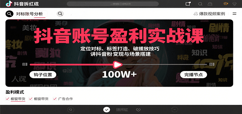抖音账号盈利实战课，定位对标、标签打造、破播放技巧，讲涨粉变现与场景搭建-大伟资源网