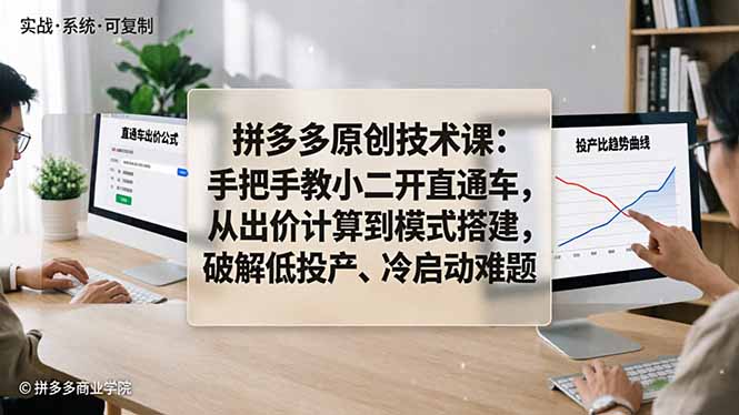 拼多多原创技术课：手把手教小二开直通车，从出价计算到模式搭建，破解低投产、冷启动难题-大伟资源网