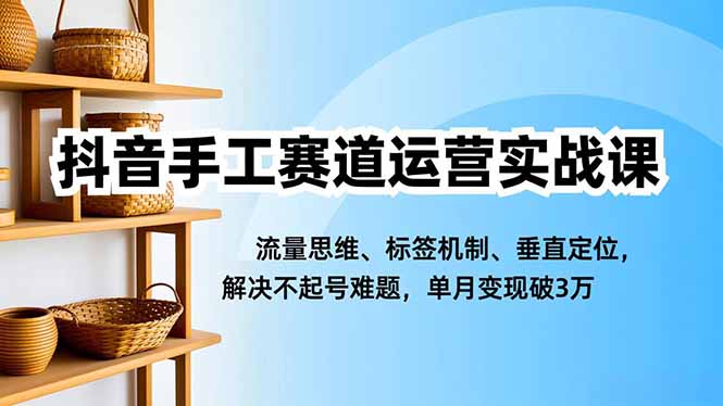 抖音手工赛道运营实战课，流量思维、标签机制、垂直定位，解决不起号难题，单月变现破3万-大伟资源网