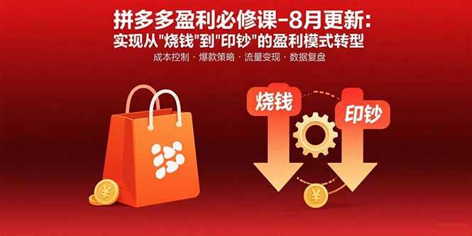 （15771期）拼多多盈利必修课-8月更新：突破运营瓶颈 实现从烧钱到印钞的盈利模式转型-大伟资源网