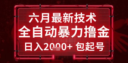六月最新技术全自动暴力撸金，稳定日入2k+包起号，长期稳定【揭秘】-大伟资源网