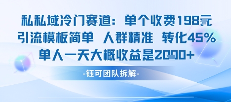 私域冷门赛道单个收费198米引流模板简单人群精准 45%的转化率单人一天大概收益多张-大伟资源网