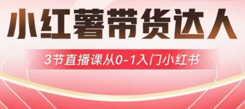 小红薯达人带货启航计划，3节直播课从0-1入门小红书-大伟资源网