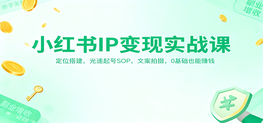 小红书IP变现实战课：定位搭建，光速起号SOP，文案拍摄，0基础也能赚钱-大伟资源网