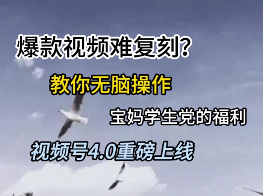 视频号4.0重磅上线，爆款视频难复刻？教你无脑操作宝妈学生党的福利【揭秘】-大伟资源网