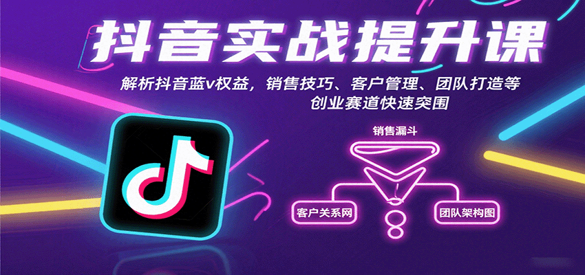 抖音实战提升课：解析抖音蓝v权益，销售技巧、客户管理、团队打造等创业赛道快速突围-大伟资源网