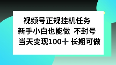 视频号正规挂播任务，有手就行不违规，轻松日入1张-大伟资源网