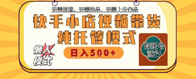 快手小店托管代运营，无需剪辑，无需选品，无需上传作品，全程无需操作，轻松月入5k+【揭秘】-大伟资源网