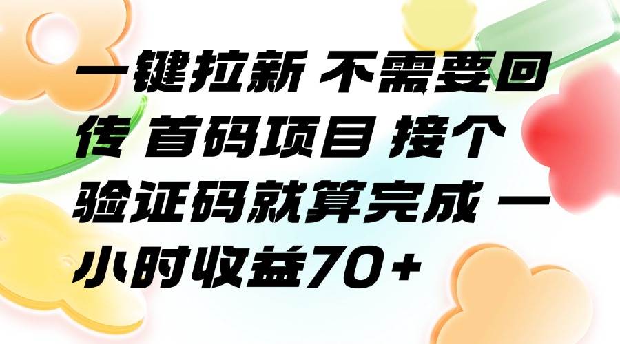 （15588期）一键拉新 不需要回传 首码项目 接个验证码就算完成 一小时收益70+-大伟资源网