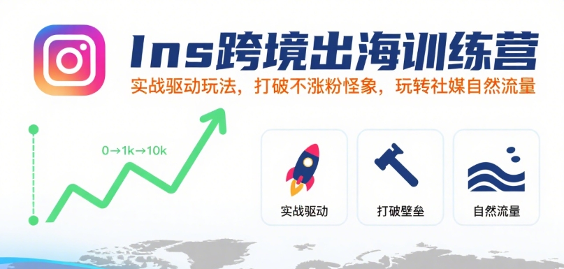 Ins跨境出海训练营，实战驱动玩法，打破不涨粉怪象，玩转社媒自然流量-大伟资源网