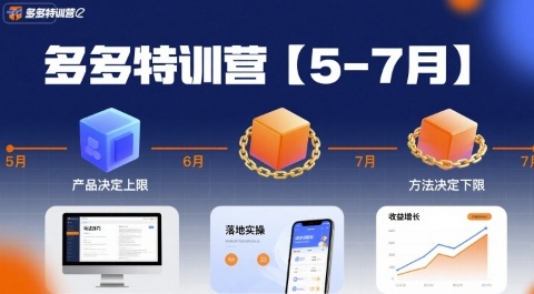多多特训营【5-7月】产品决定上限，方法决定下限，各种玩法技巧落地实操-大伟资源网
