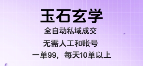 玉石玄学全自动私域成交，一单99每天十单以上，无需人工和矩阵账号，蓝海项目直接干【揭秘】-大伟资源网