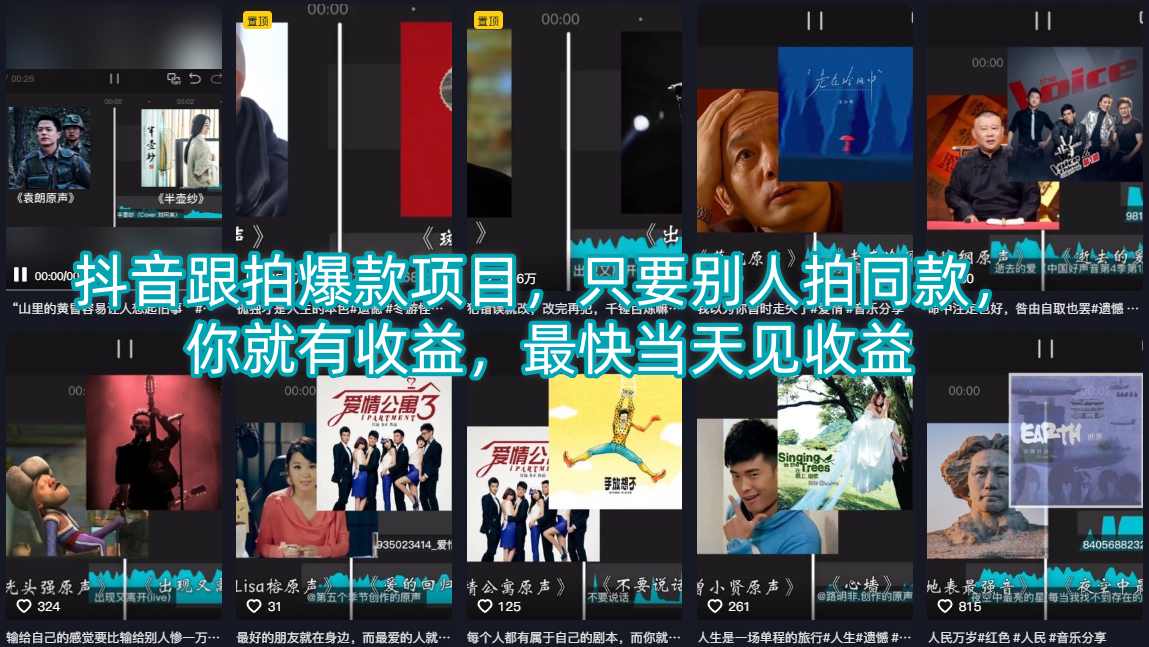 抖音跟拍爆款项目，只要别人拍同款，你就有收益，最快当天见收益-大伟资源网
