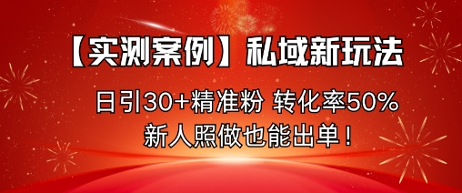 【实测案例】私域新玩法，日引30+精准粉，转化率50%，新人照做也能出单！-大伟资源网