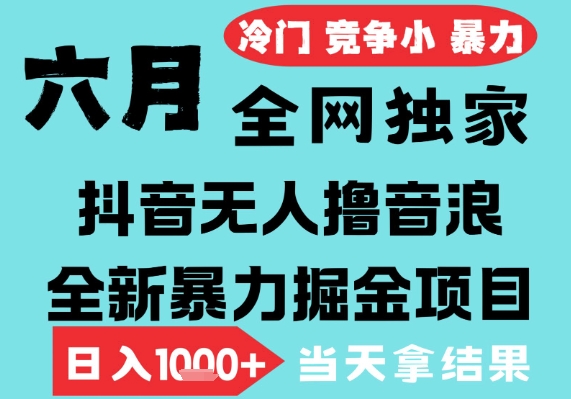 2025年6月高爆抖音无人直播最新撸音浪掘金项目，无脑日入1k+，低门槛小白可做，可矩阵放大【揭秘】-大伟资源网