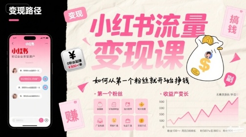 小红书流量变现课，如何从第一个粉丝就开始挣钱-大伟资源网