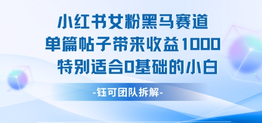 小红书女粉黑马赛道单篇帖子带来收益1k+，特别适合0基础的小白-大伟资源网