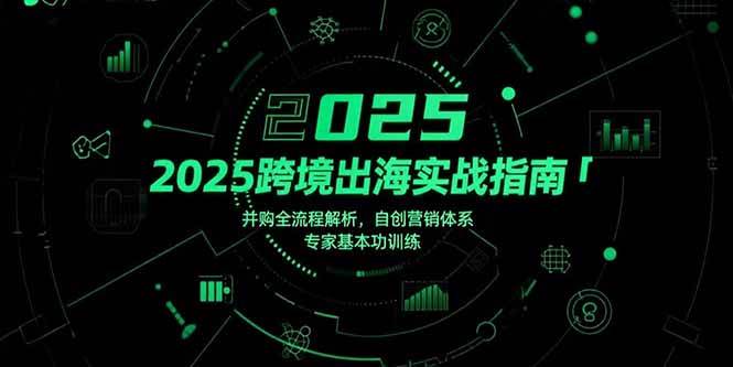 （15503期）2025跨境出海实战指南，并购全流程解析，自创营销体系，专家基本功训练-大伟资源网