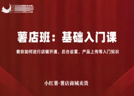 小红薯薯店商城卖货，基础入门课，教你如何进行店铺开通、后台设置、产品上传等入门知识-大伟资源网