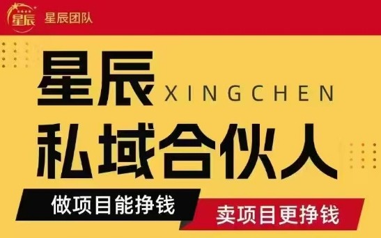 全网首发星辰私域项目合集，最新实操玩法，短期快速实现变现-大伟资源网