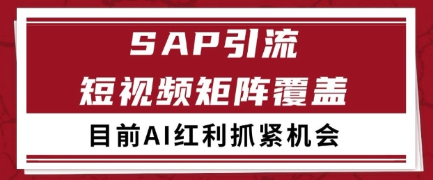 小红书某音sap赛道引流获客 自热矩阵日引200+【揭秘】-大伟资源网
