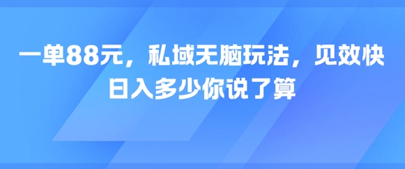 一单88元，私域无脑玩法，见效快，日入多少你说了算-大伟资源网