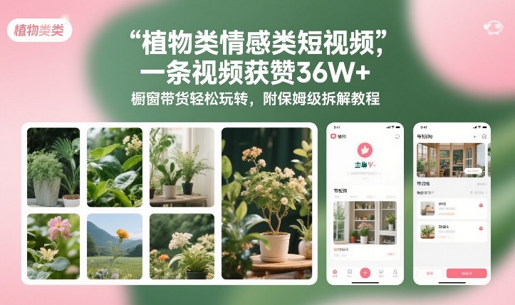 植物类情感类短视频，一条视频获赞36W+，橱窗带货轻松玩转，附保姆级拆解教程-大伟资源网