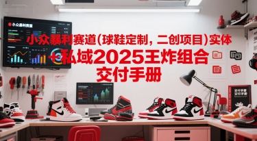 小众暴利赛道(球鞋定制，二创项目)实体+私域2025王炸组合 交付手册-大伟资源网