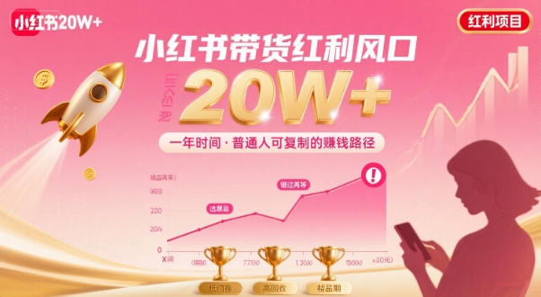 一年时间靠小红书带货项目年入20w+，最不能错的大红利项目-大伟资源网