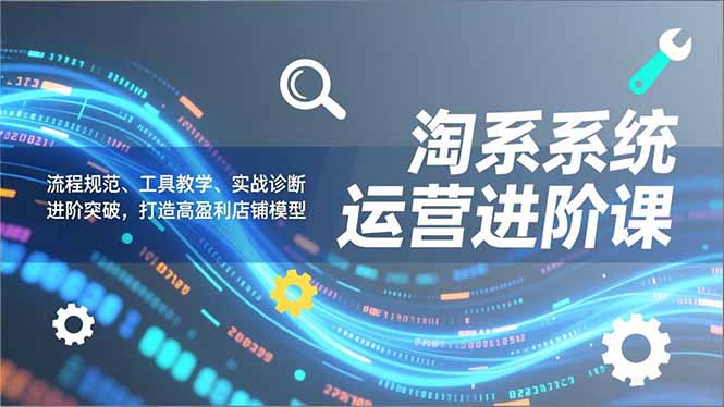 淘系系统运营进阶课2.0，流程规范、工具教学、实战诊断，进阶突破，打造高盈利店铺模型-大伟资源网