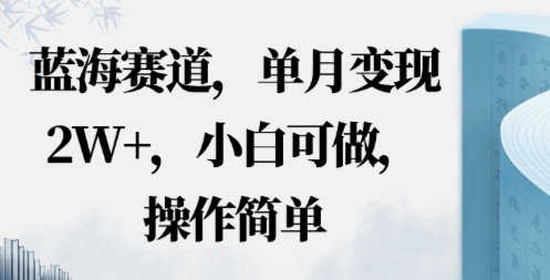 蓝海赛道，小红书私域项目，单月变现2W+，小白可做，操作简单-大伟资源网