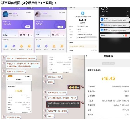 当天能收益的3个小项目拆解_包括平台+操作流程-大伟资源网
