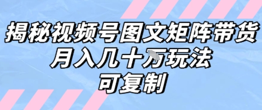 解密视频号图文矩阵带货，月入几个W的打法，可复制-大伟资源网