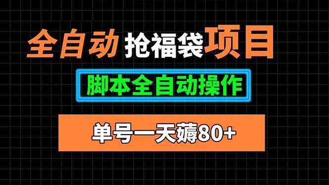 （15697期）全自动抢福袋项目，单号一天80+脚本全自动操作-大伟资源网