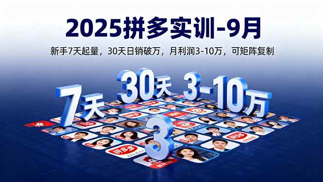 （16008期）2025拼多多实训-9月：新手7天起量,30天日销破万,月利润3-10万,可矩阵复制-大伟资源网