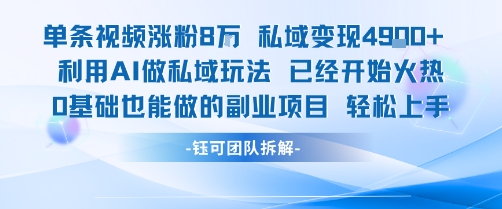 单条视频私域变现4.9k+利用AI做私域玩法 已经开始火热0基础也能做的副业项目轻松上手-大伟资源网
