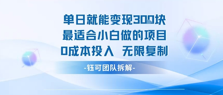 单日就能变现3张最适合小白做的项目0成本投入 无限复制-大伟资源网