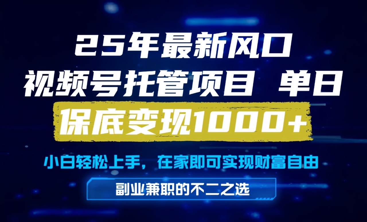 真正的懒人项目，妥妥的福利，先到先得，单日保底1000+-大伟资源网