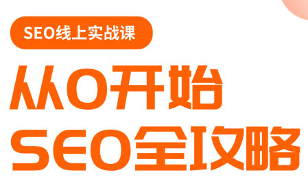 若凡老师·谷歌SEO实操课(更新)-大伟资源网