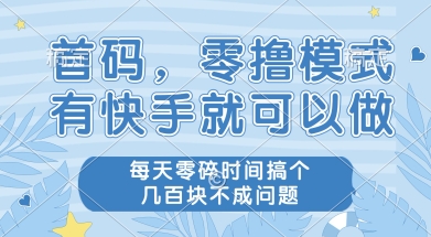 首码零撸项目，有快手就可以做，每天业务时间搞个几张不是问题【揭秘】-大伟资源网