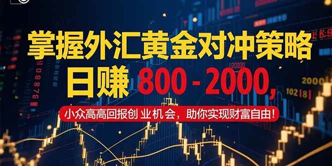 （15198期）掌握外汇黄金对冲策略，日赚 800 – 2000，小众高回报创业机会，助你实…-大伟资源网