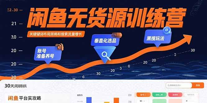 （15698期）闲鱼无货源训练营：账号准备养号/垂直化选品/黑搜玩法，0基础30天盈利指南-大伟资源网