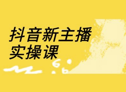 抖音新主播实操课，直播间流量运营线上实操课(18节)-大伟资源网