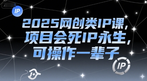 2025网创类IP课，项目会死IP永生，可操作一辈子-大伟资源网